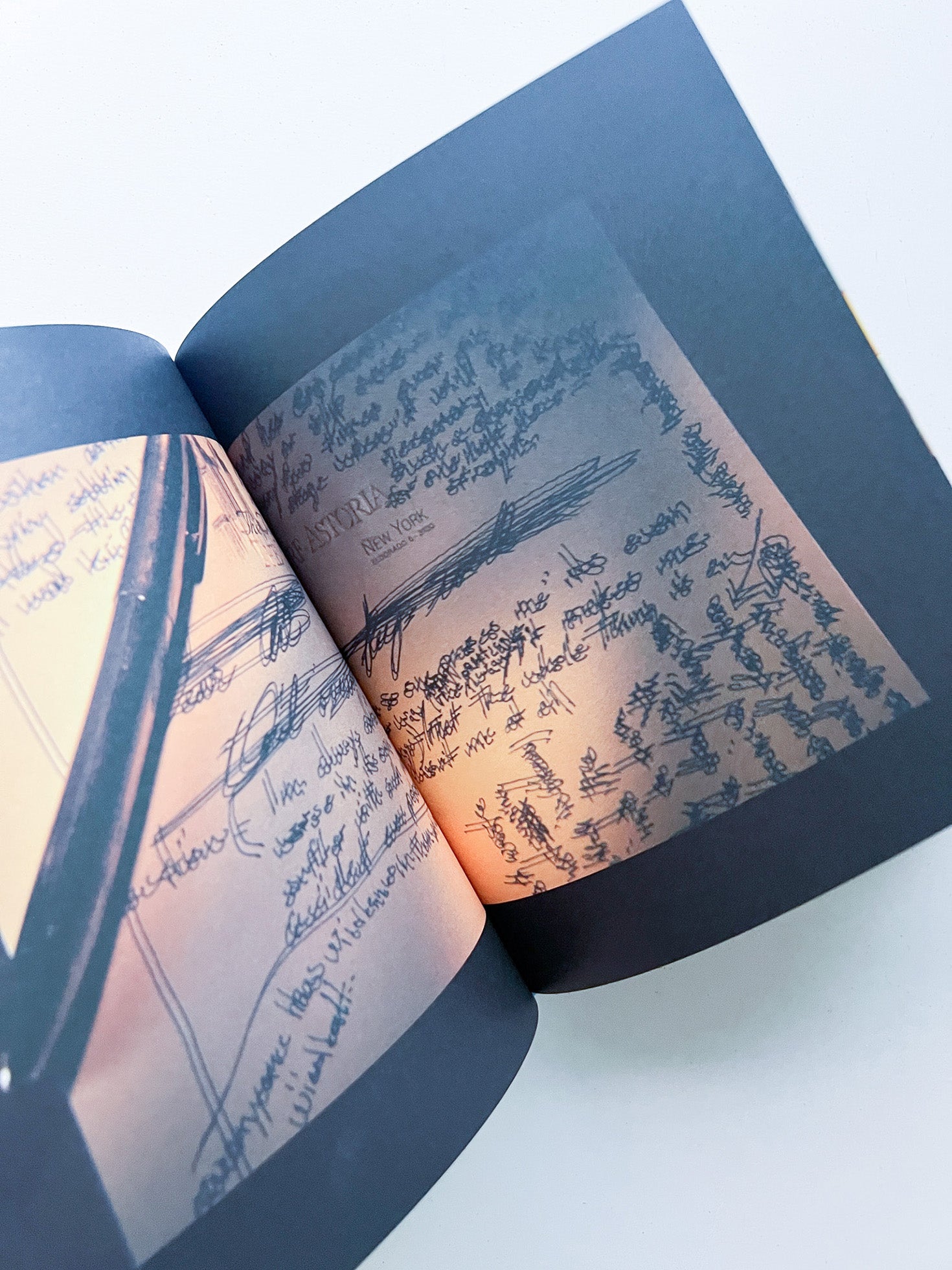 VOICES / Philippe Parreno