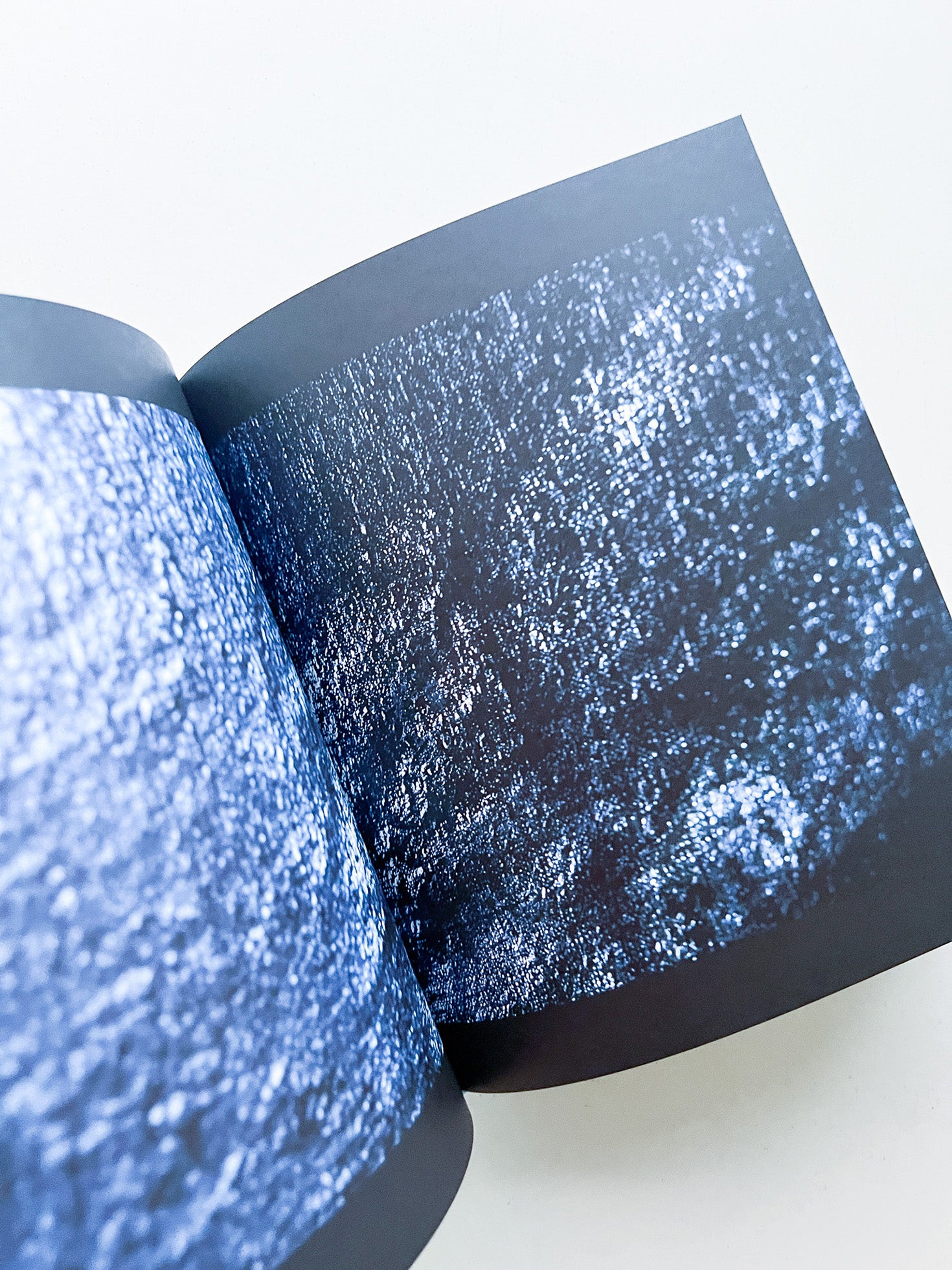 VOICES / Philippe Parreno