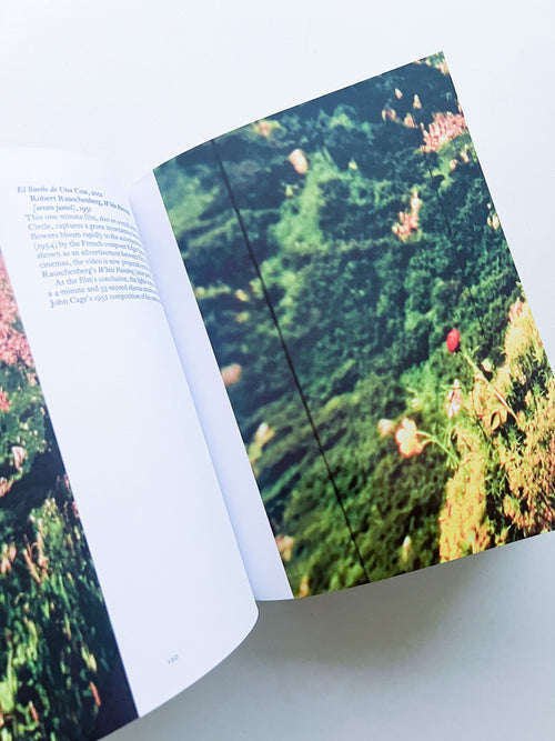 VOICES / Philippe Parreno