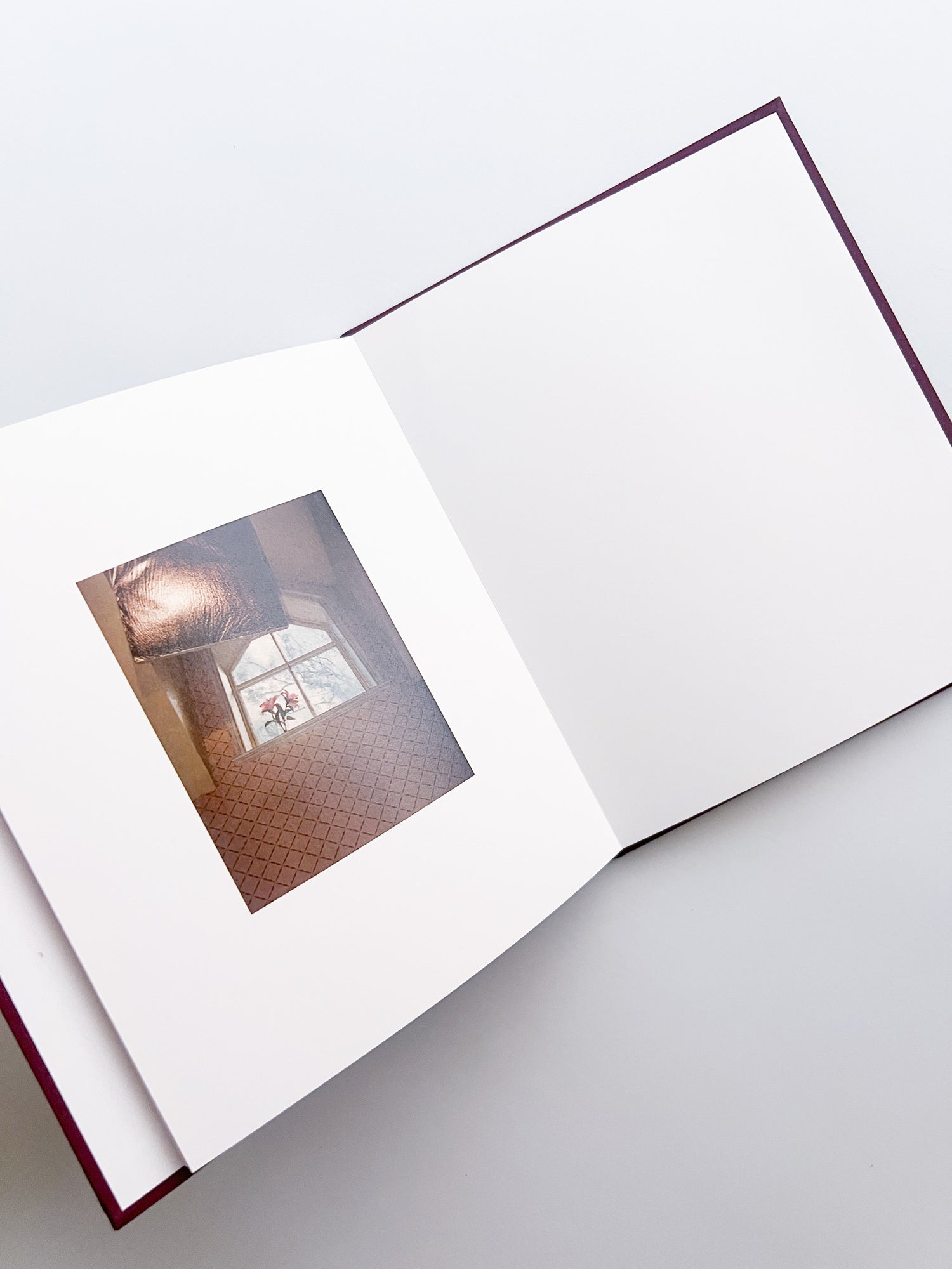 VISCIN / Yorgos Lanthimos