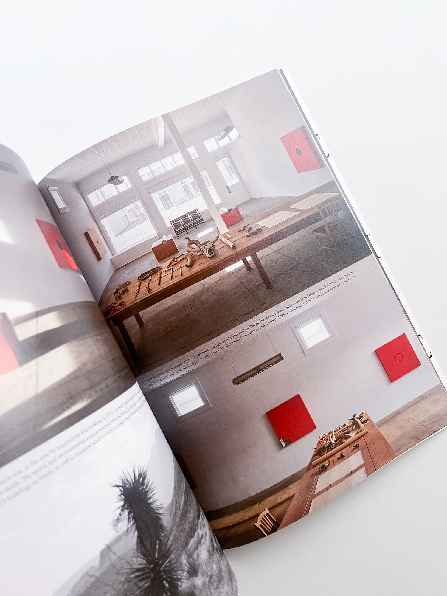 ARK JOURNAL VOLUME XV SPRING/SUMMER 2026 - 本屋青旗 Ao-Hata Bookstore