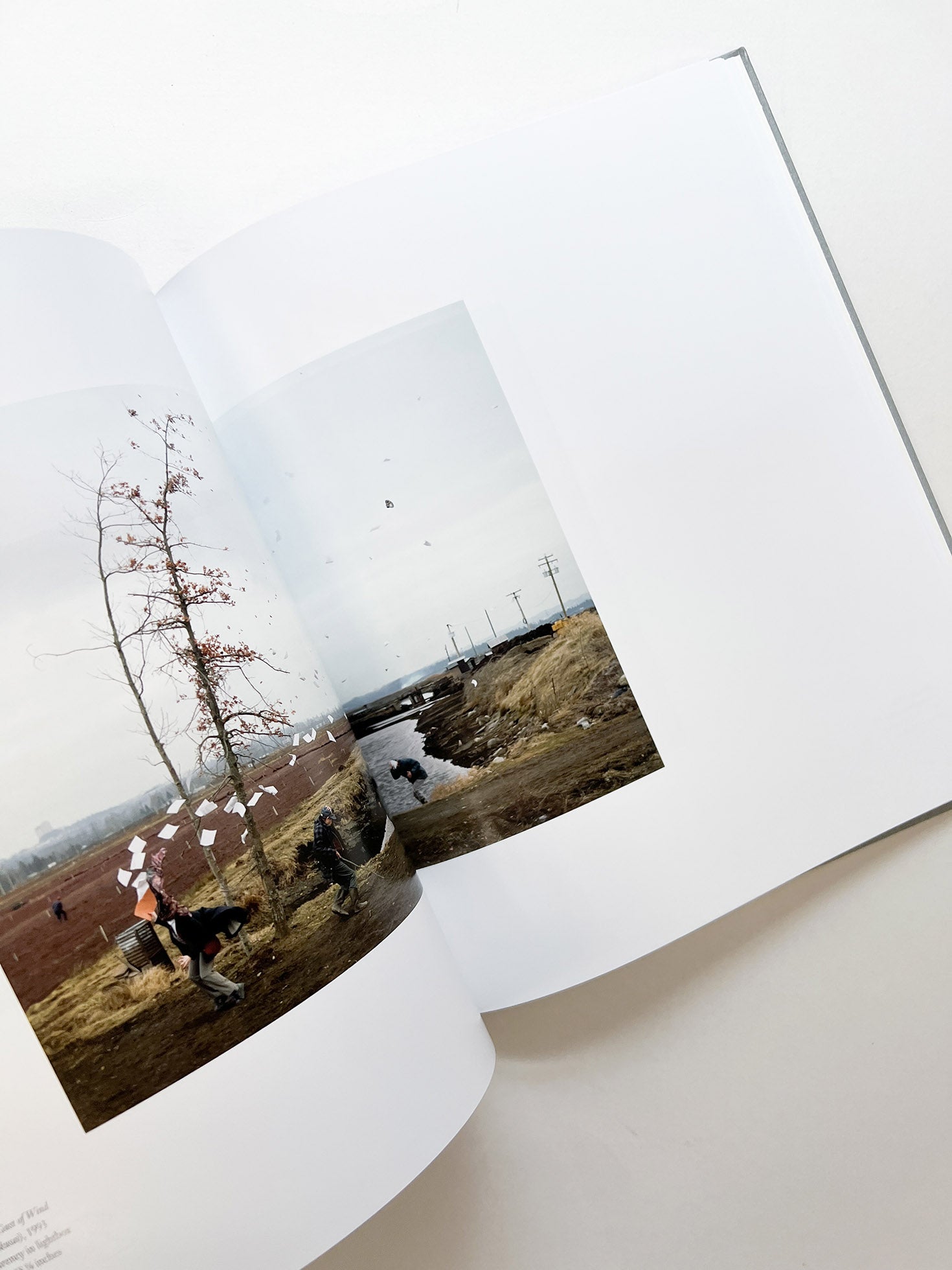 JEFF WALL / Jeff Wall - 本屋青旗 Ao-Hata Bookstore