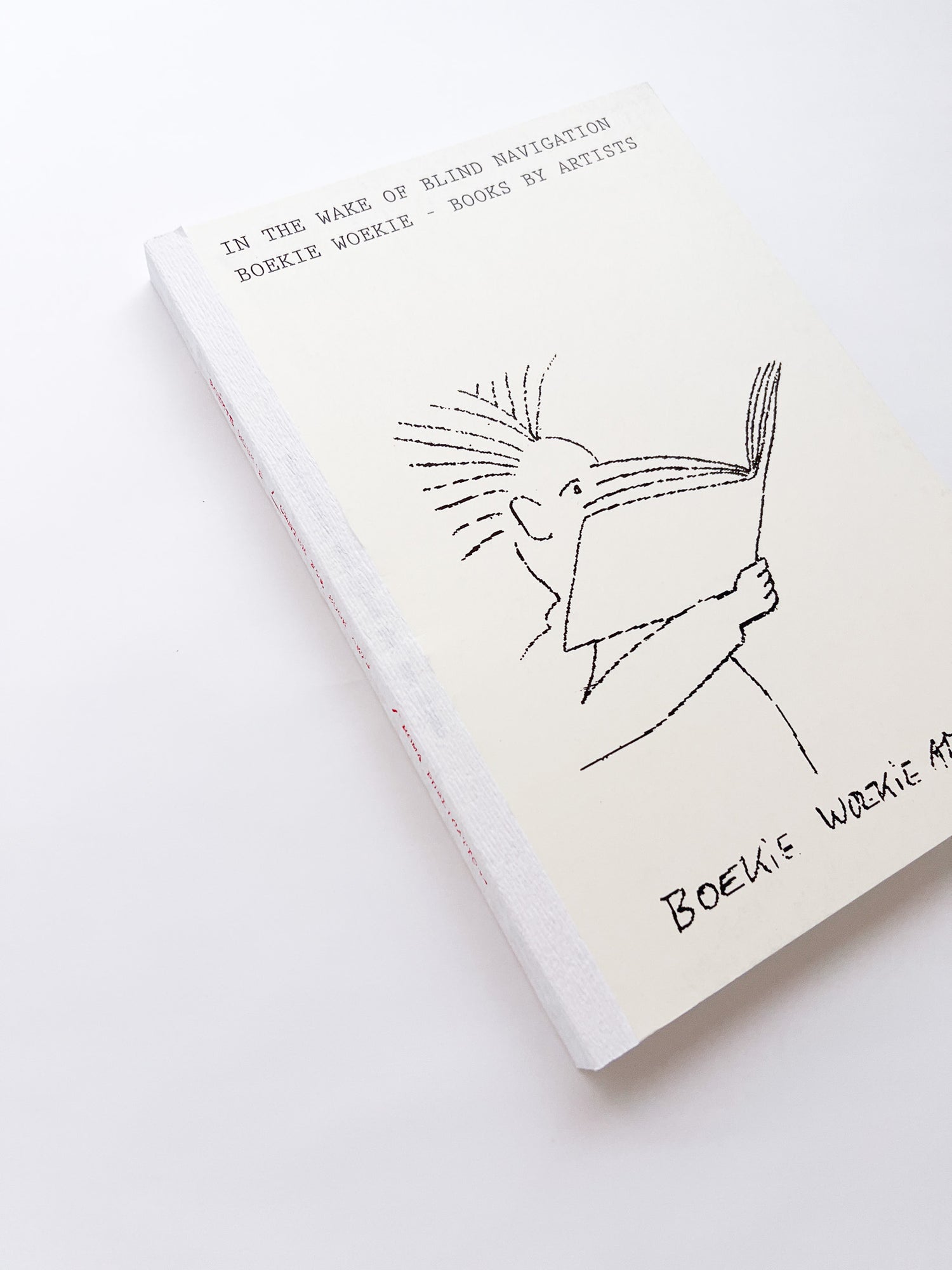 In the Wake of Blind Navigation. Boekie Woekie - Books by Artists