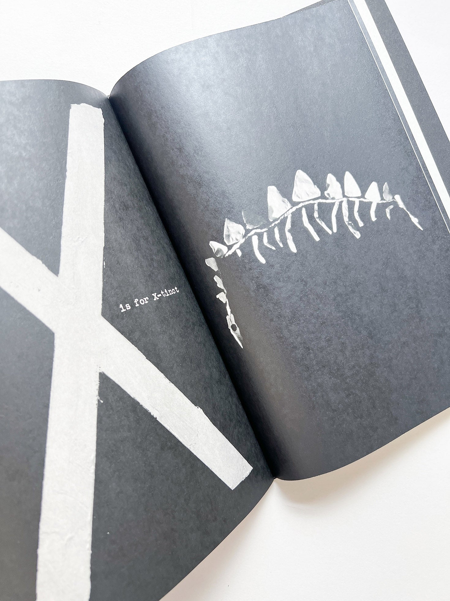 A is for Ant Children's Edition / Jack Davison