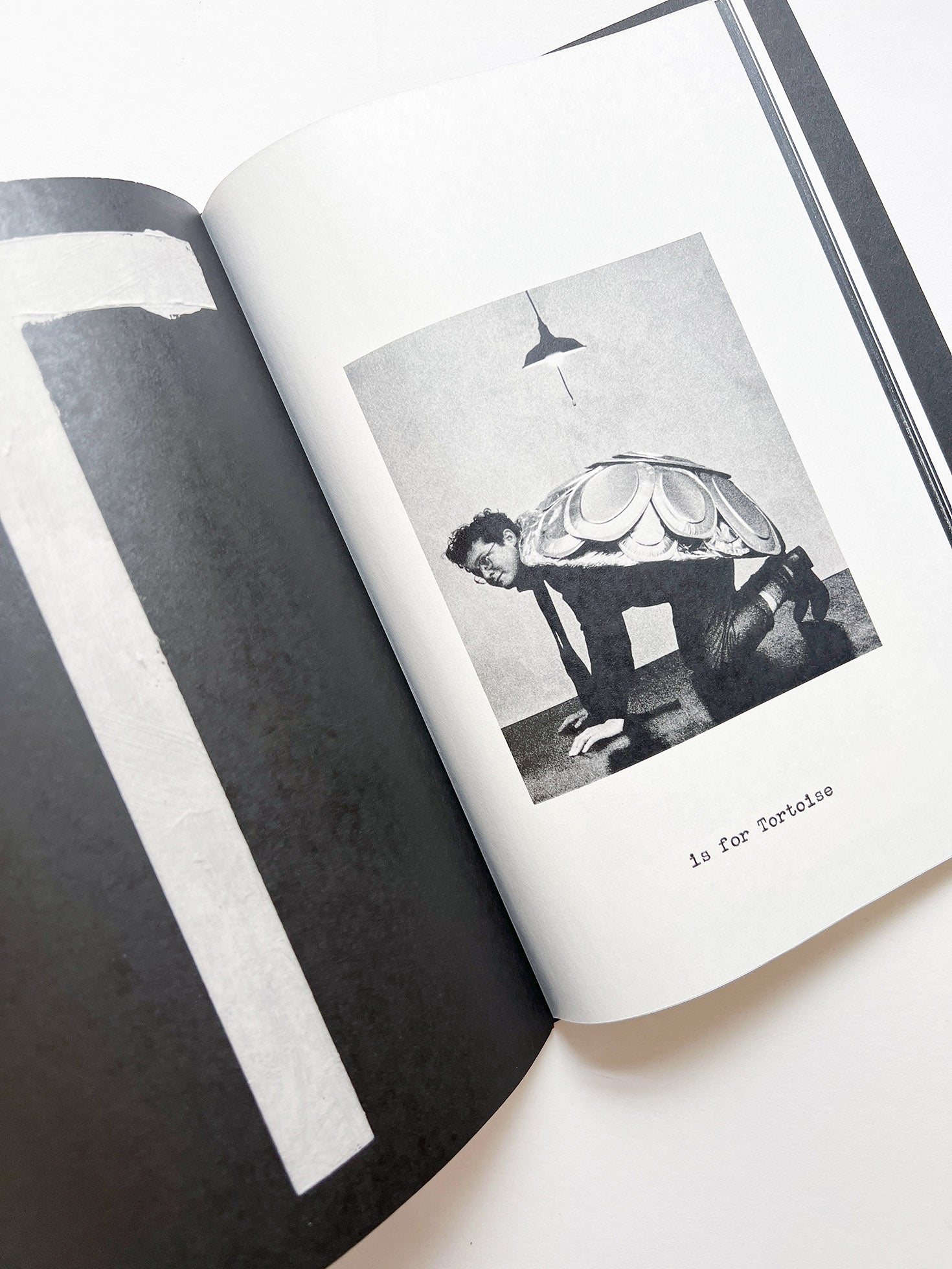 A is for Ant Children's Edition / Jack Davison