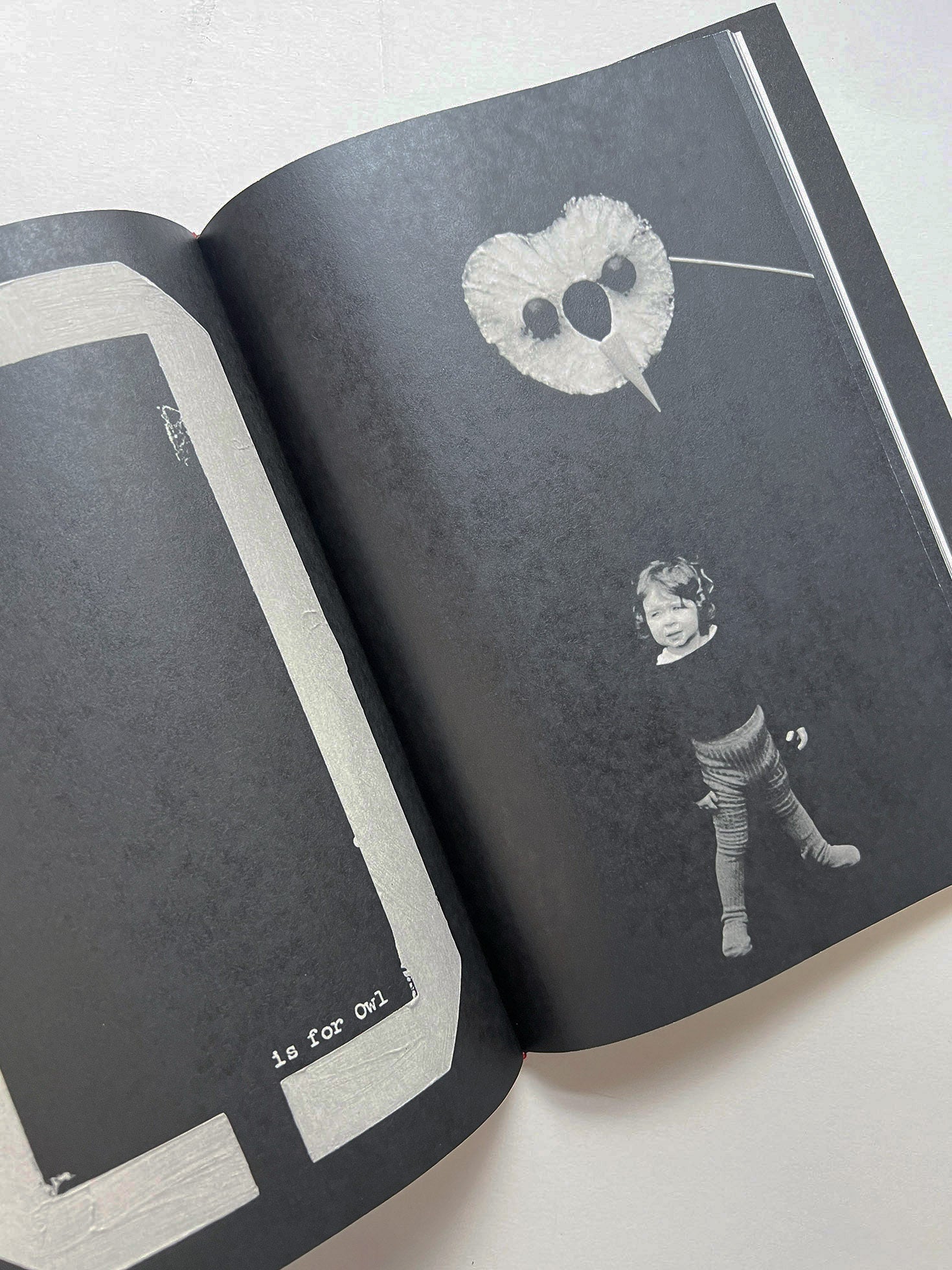 A is for Ant Children's Edition / Jack Davison