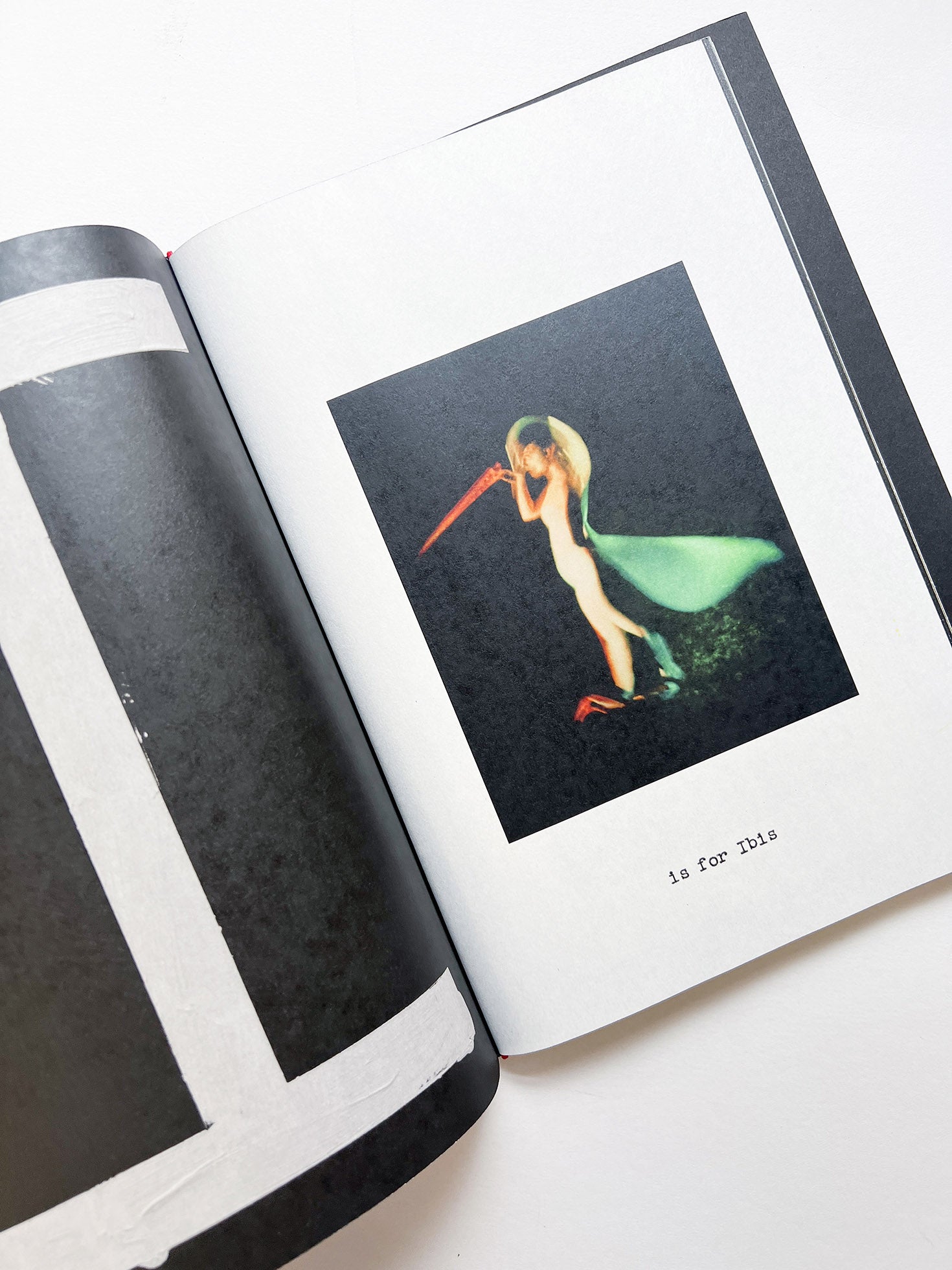 A is for Ant Children's Edition / Jack Davison