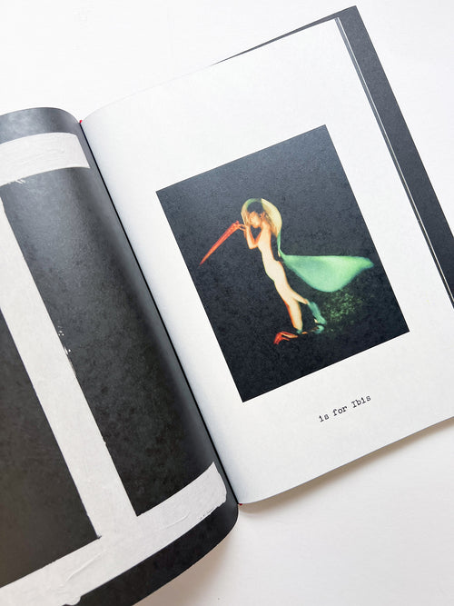 A is for Ant Children's Edition / Jack Davison