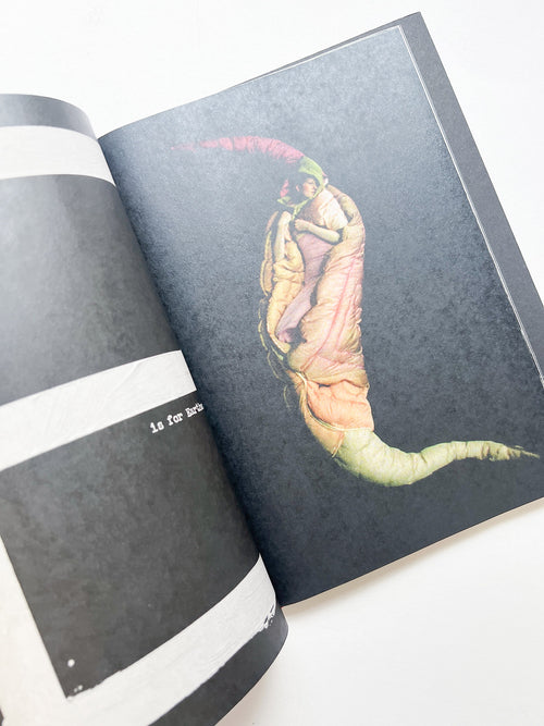 A is for Ant Children's Edition / Jack Davison