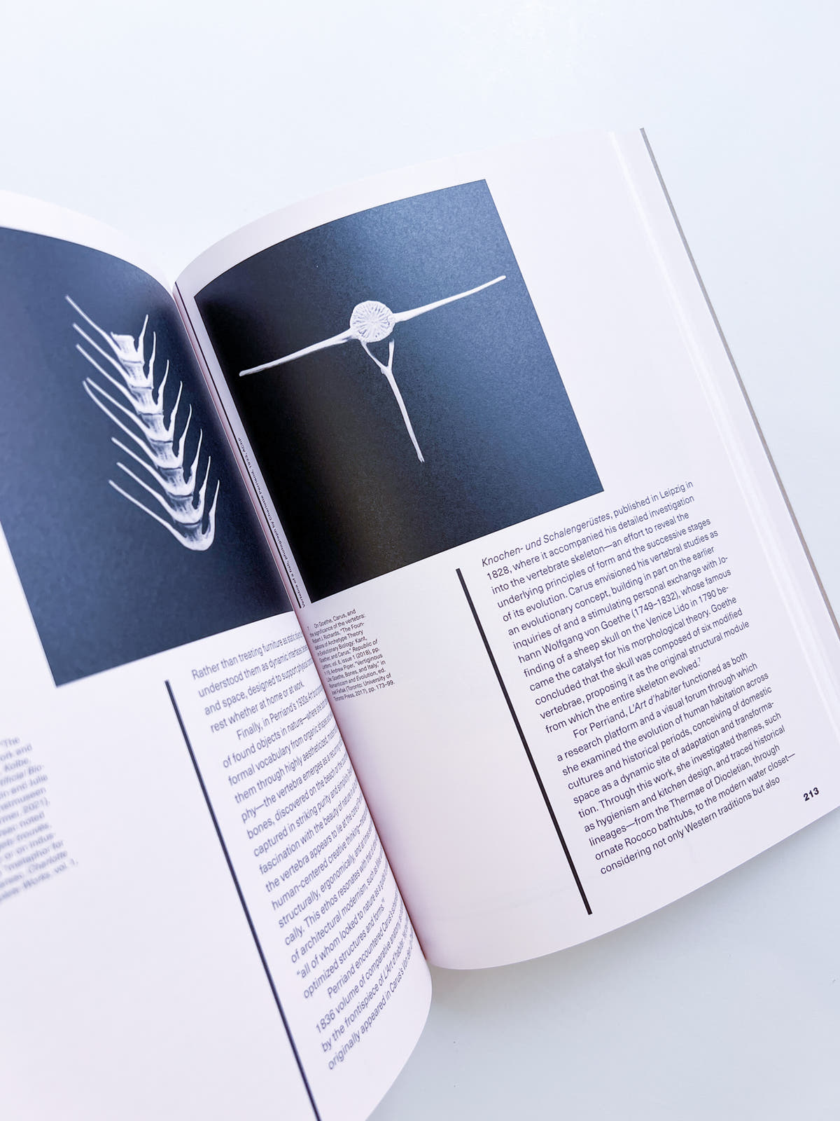 The Art of Dwelling / Charlotte Perriand