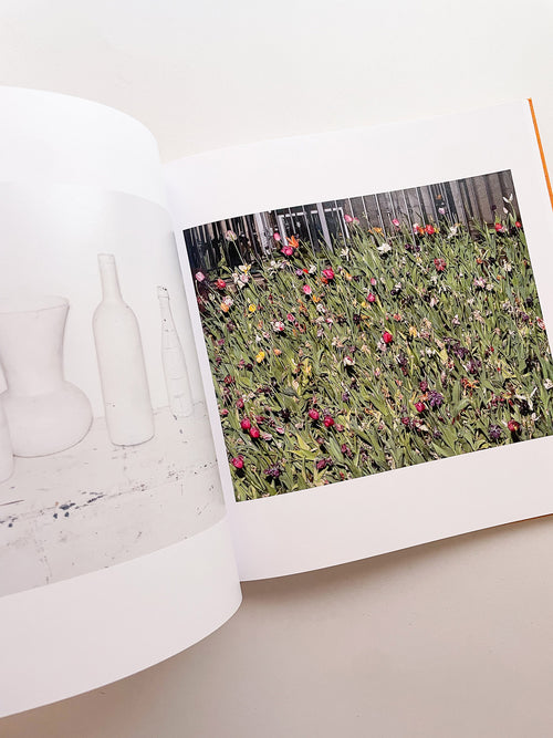 ADVICE FOR YOUNG ARTISTS / Alec Soth [SIGNED]