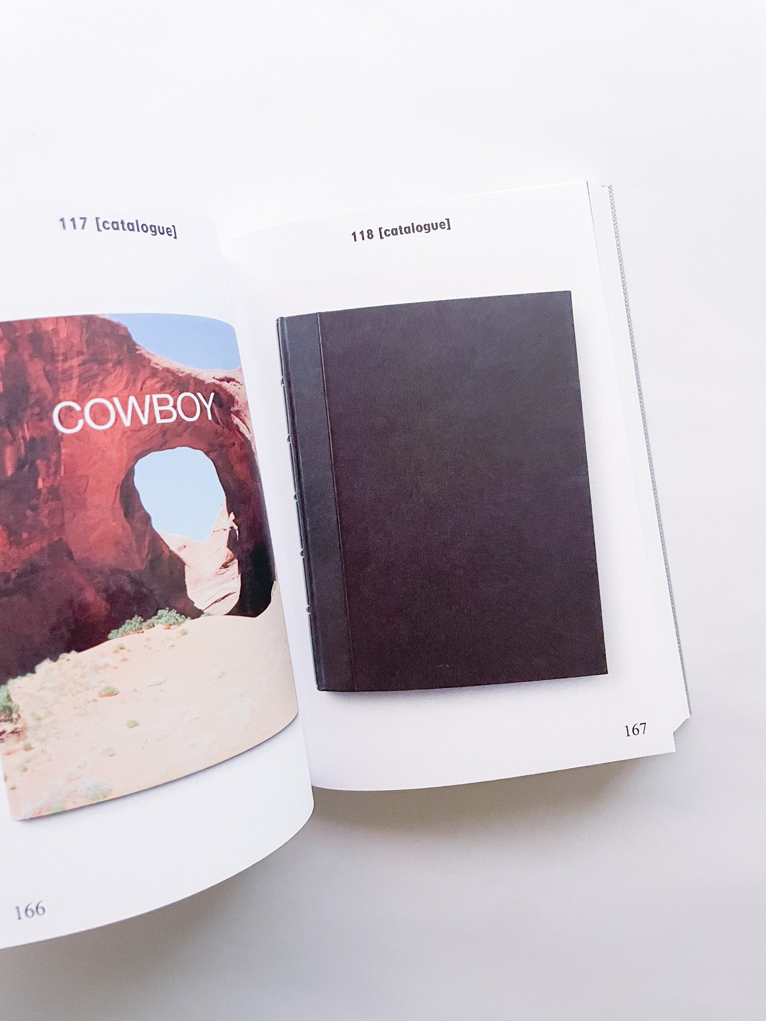 BIBLIOTHÈQUE D’UN AMATEUR. RICHARD PRINCE’S PUBLICATIONS 1980–2020 / Richard Prince