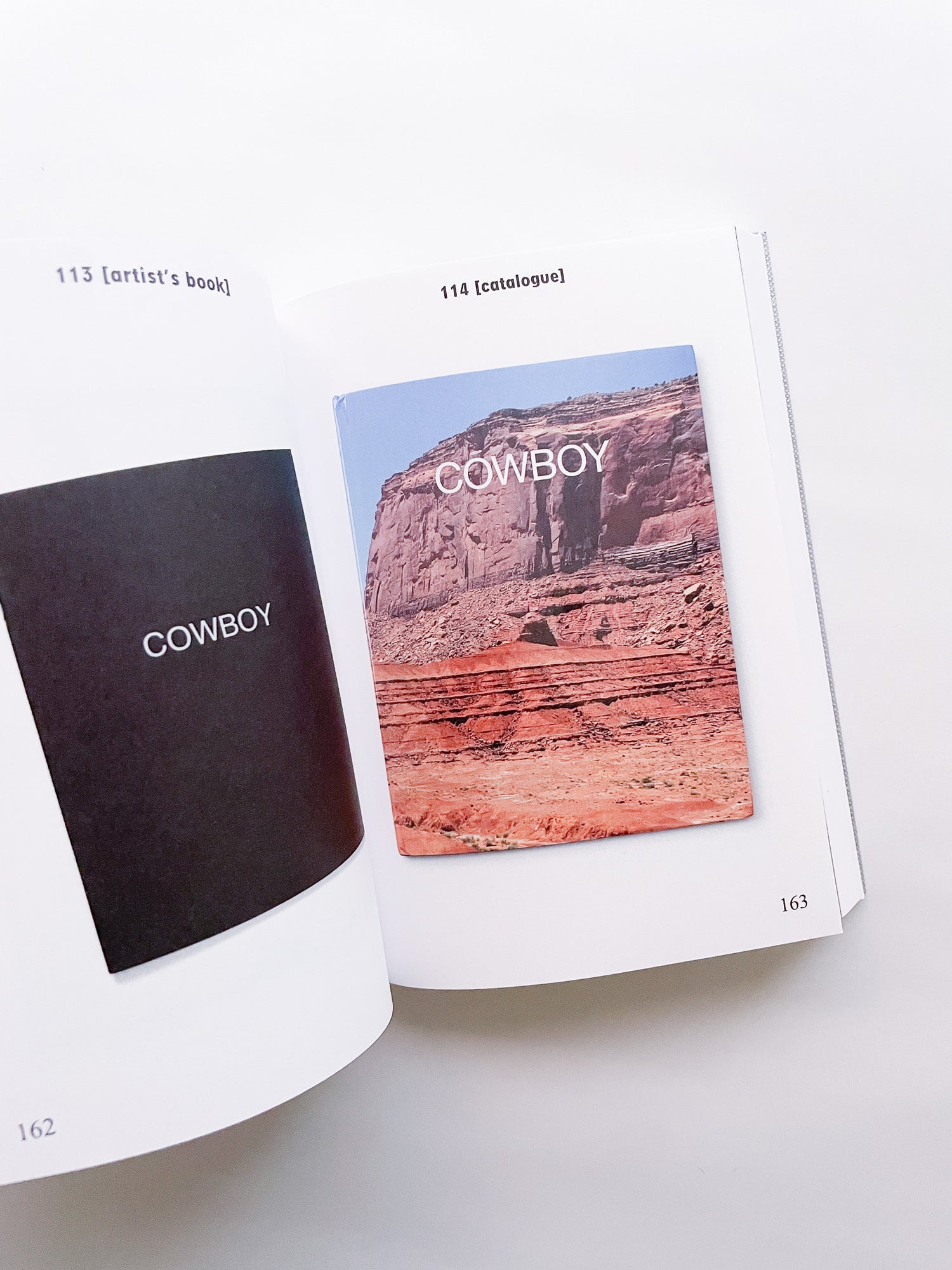 BIBLIOTHÈQUE D’UN AMATEUR. RICHARD PRINCE’S PUBLICATIONS 1980–2020 / Richard Prince