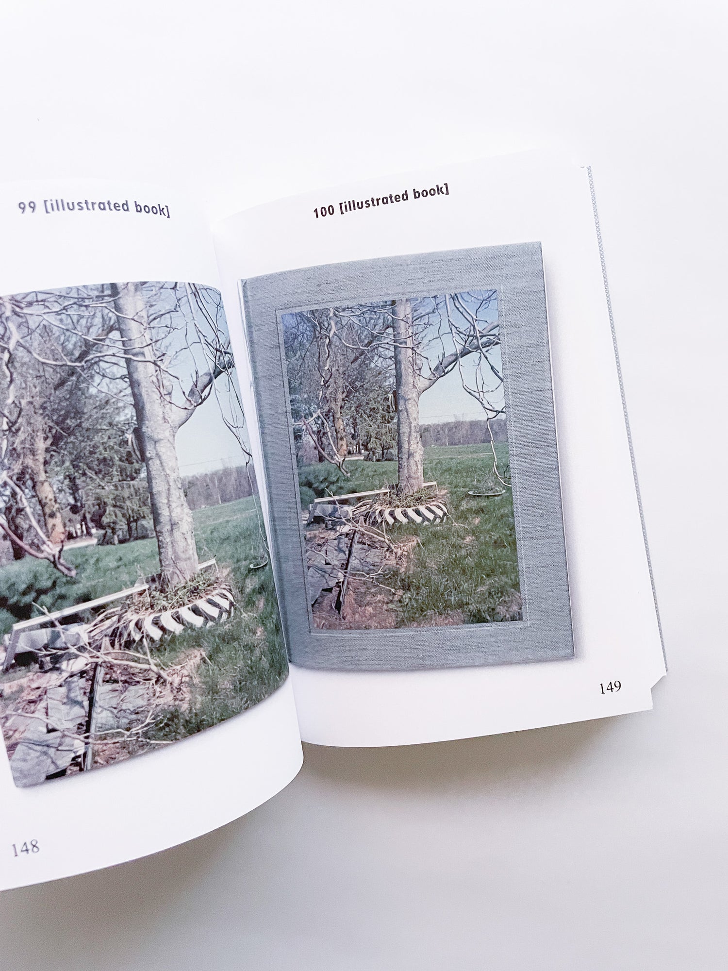 BIBLIOTHÈQUE D’UN AMATEUR. RICHARD PRINCE’S PUBLICATIONS 1980–2020 / Richard Prince