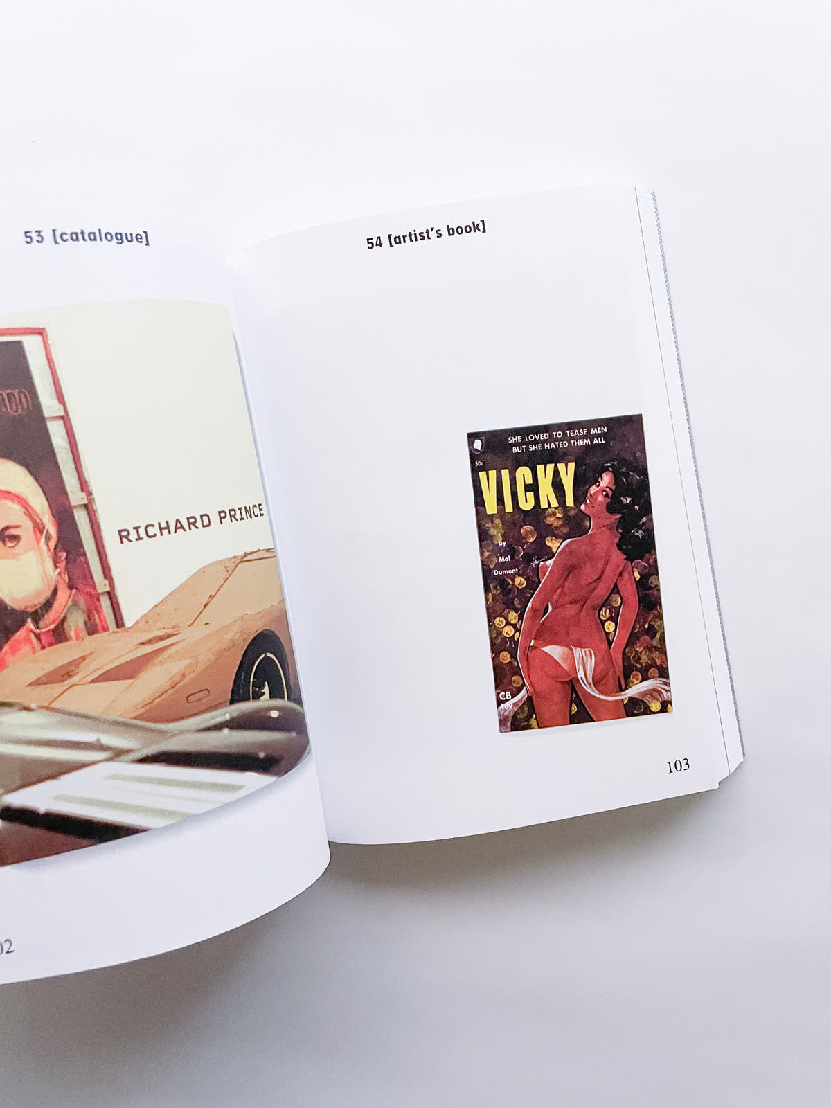 BIBLIOTHÈQUE D’UN AMATEUR. RICHARD PRINCE’S PUBLICATIONS 1980–2020 / Richard Prince