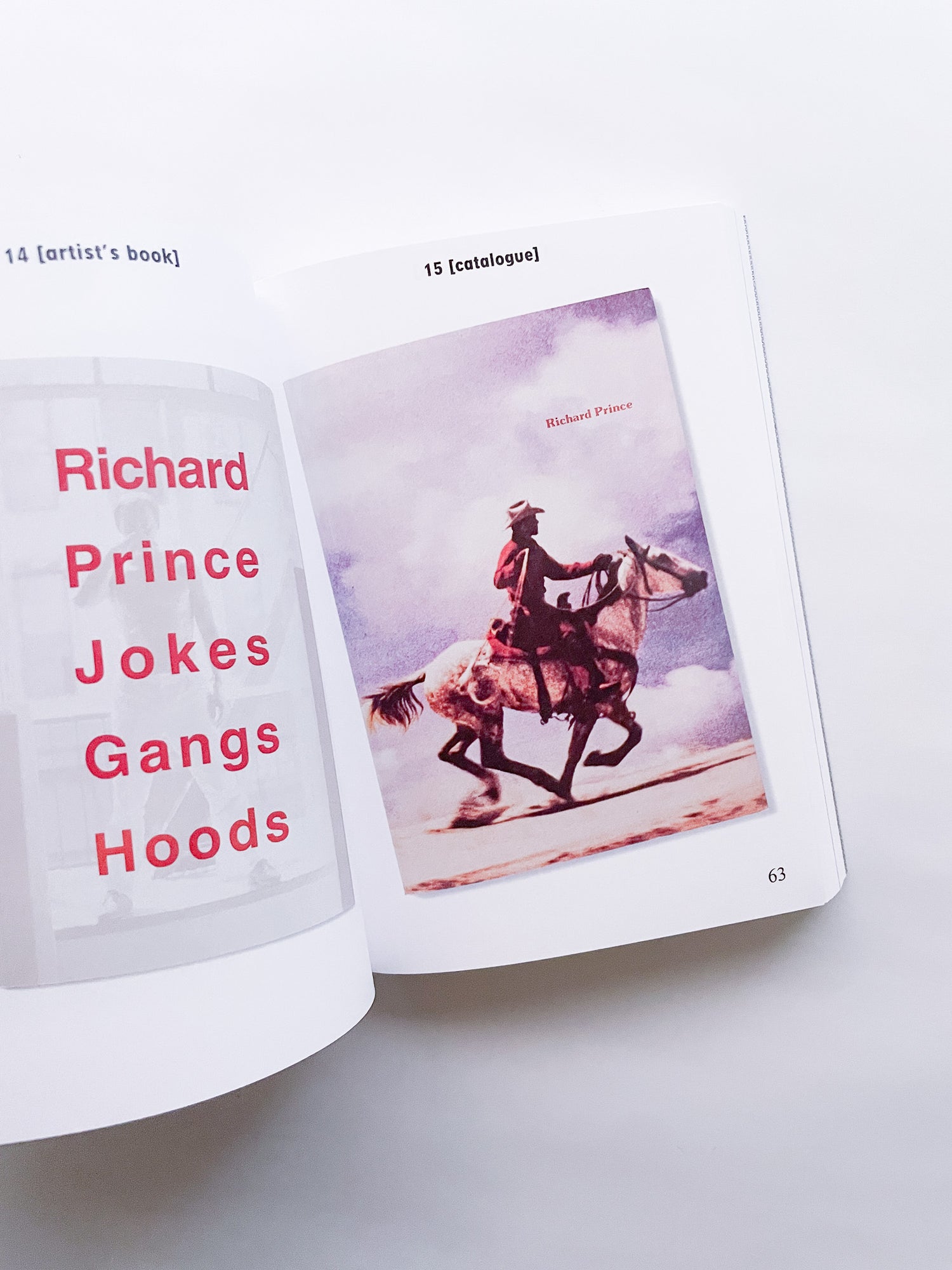 BIBLIOTHÈQUE D’UN AMATEUR. RICHARD PRINCE’S PUBLICATIONS 1980–2020 / Richard Prince