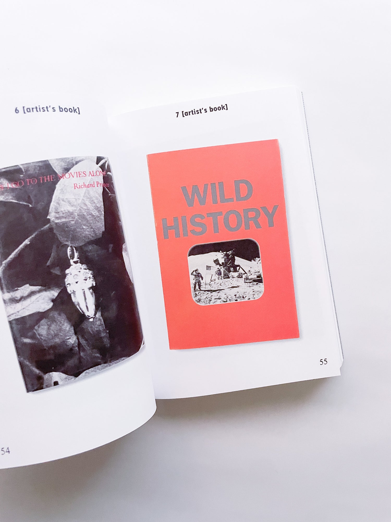 BIBLIOTHÈQUE D’UN AMATEUR. RICHARD PRINCE’S PUBLICATIONS 1980–2020 / Richard Prince