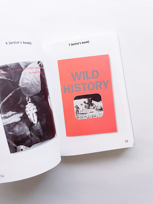 BIBLIOTHÈQUE D’UN AMATEUR. RICHARD PRINCE’S PUBLICATIONS 1980–2020 / Richard Prince