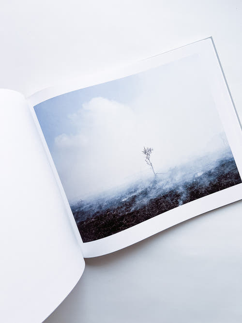 CASPIAN: A SOUTHERN REFLECTION / Khashayar Javanmardi