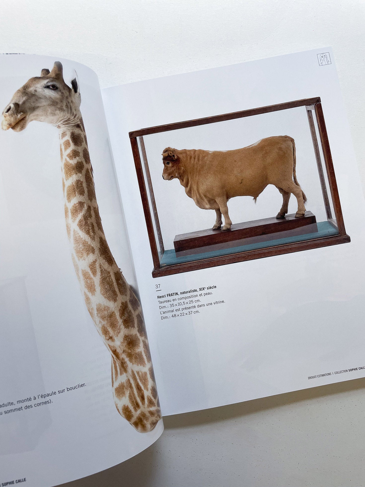 Erratum / Sophie Calle