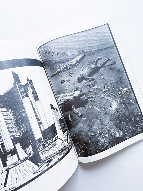 NEWSPAPER / Steve Lawrence, Peter Hujar, Andrew Ullrick