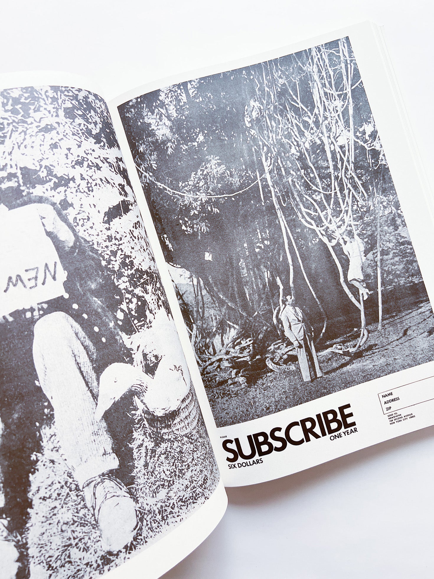 NEWSPAPER / Steve Lawrence, Peter Hujar, Andrew Ullrick