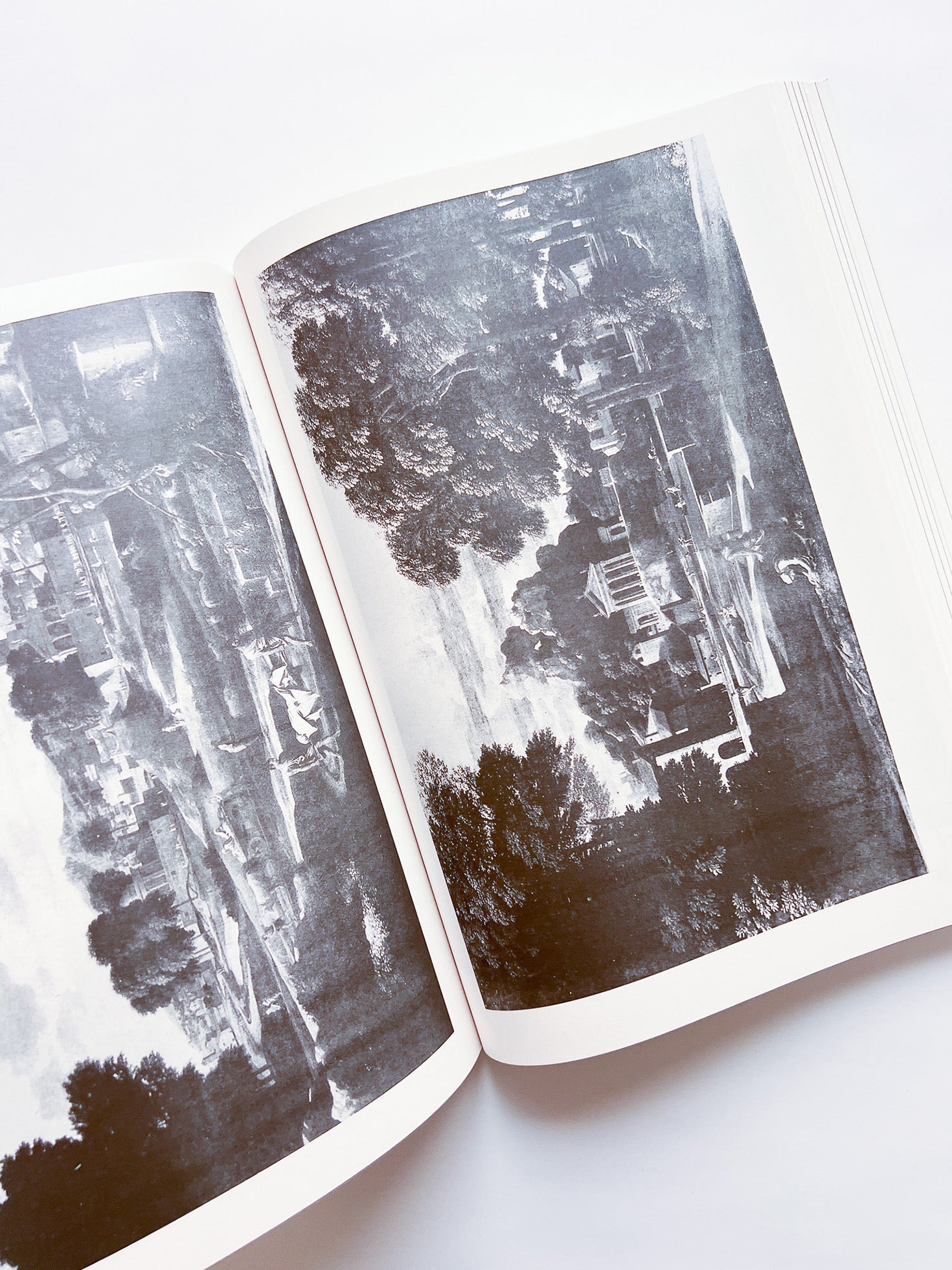 NEWSPAPER / Steve Lawrence, Peter Hujar, Andrew Ullrick