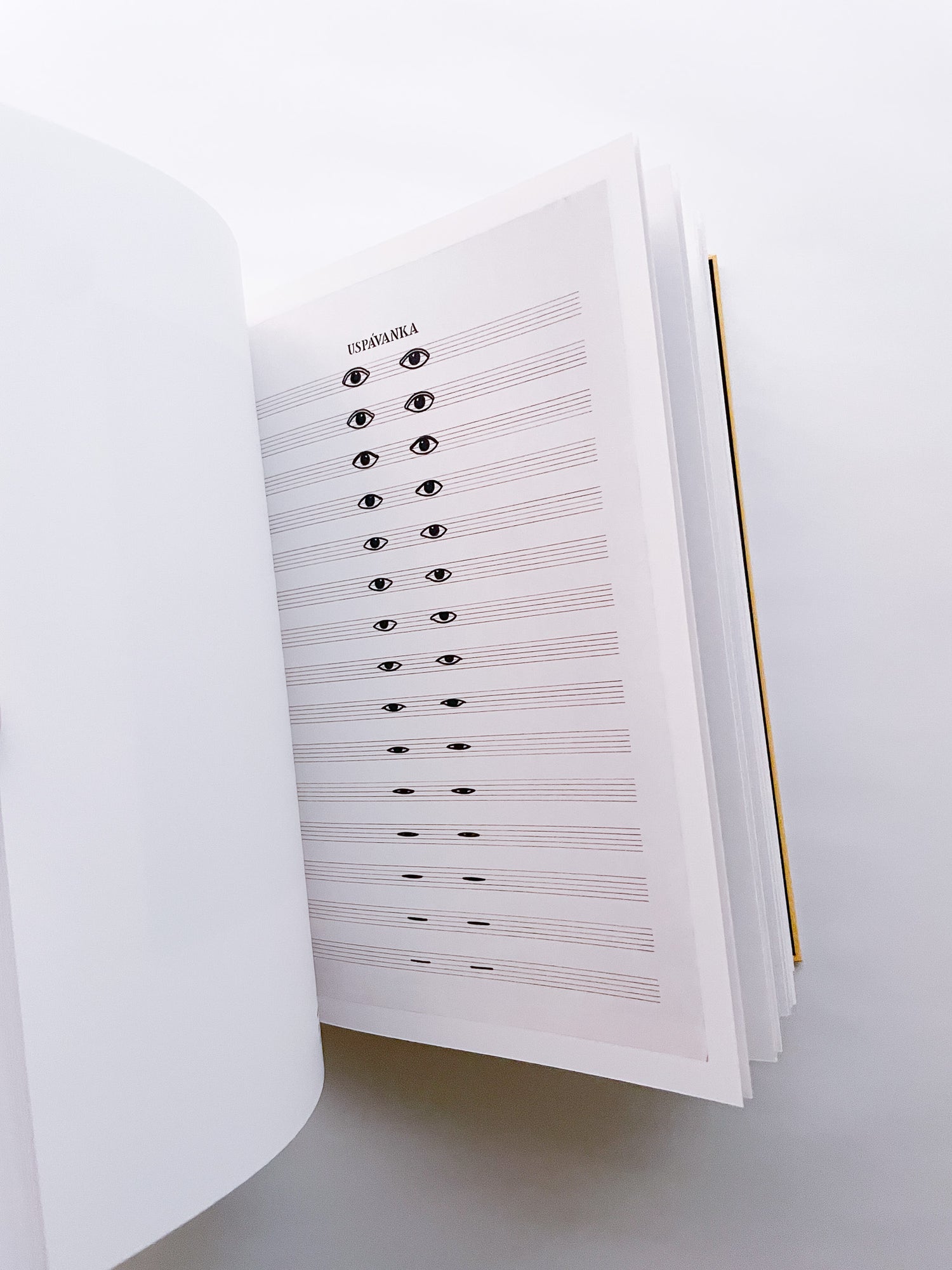 CLIN D'ŒIL / Cécile Poimbœuf-Koizumi & Stephen Ellcock