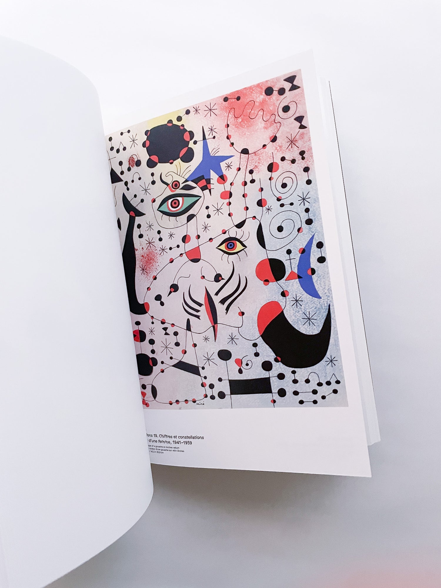 CLIN D'ŒIL / Cécile Poimbœuf-Koizumi & Stephen Ellcock