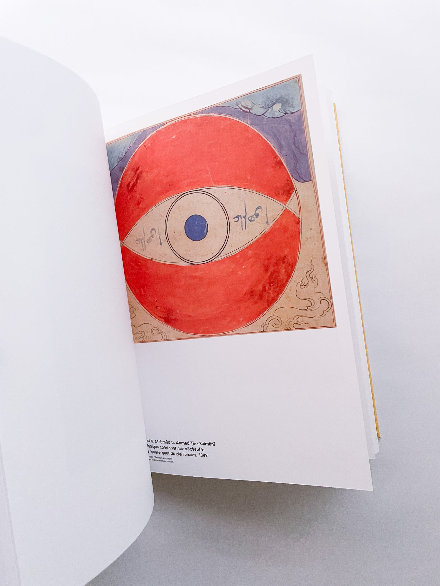 CLIN D'ŒIL / Cécile Poimbœuf-Koizumi & Stephen Ellcock