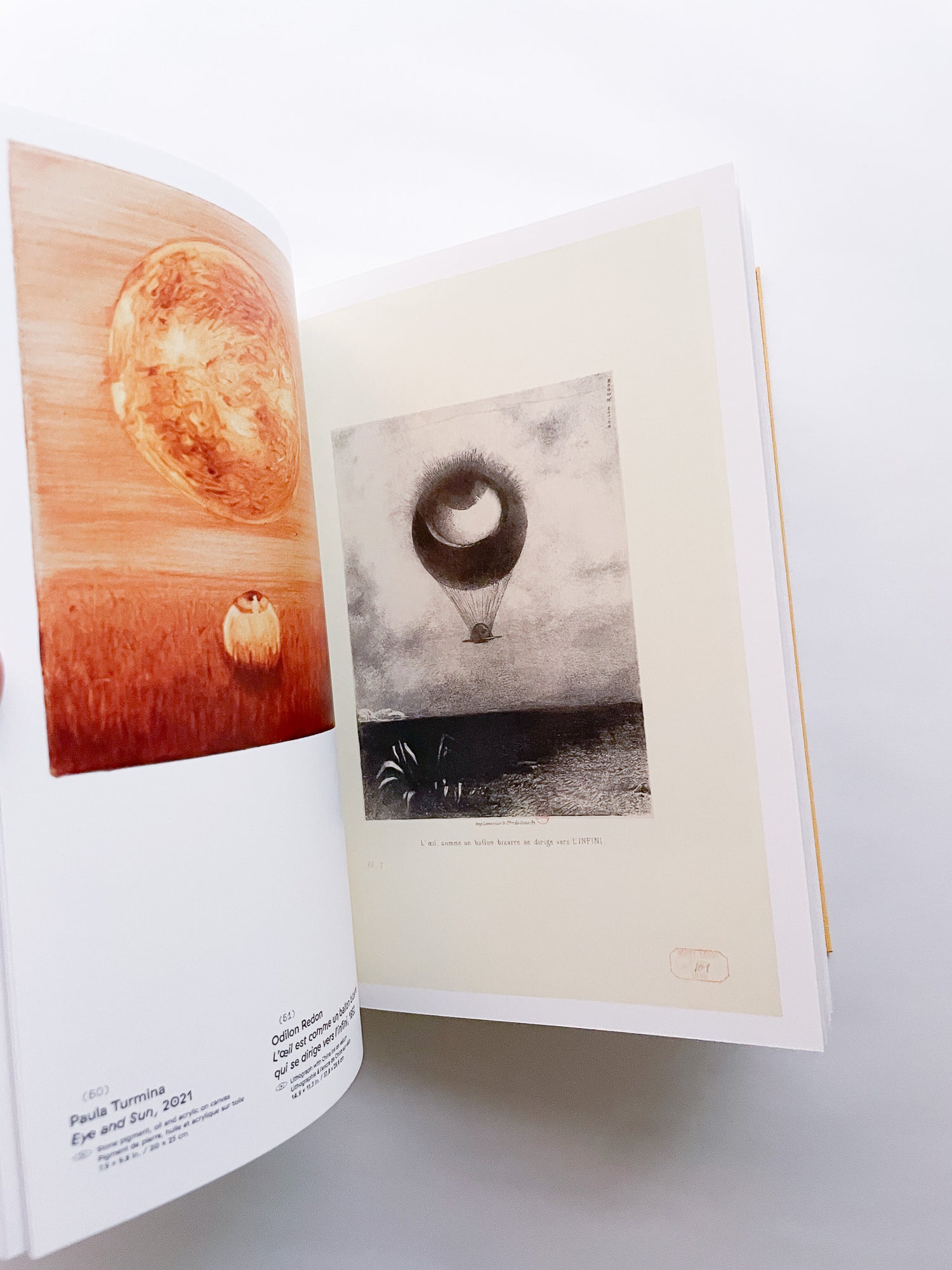 CLIN D'ŒIL / Cécile Poimbœuf-Koizumi & Stephen Ellcock