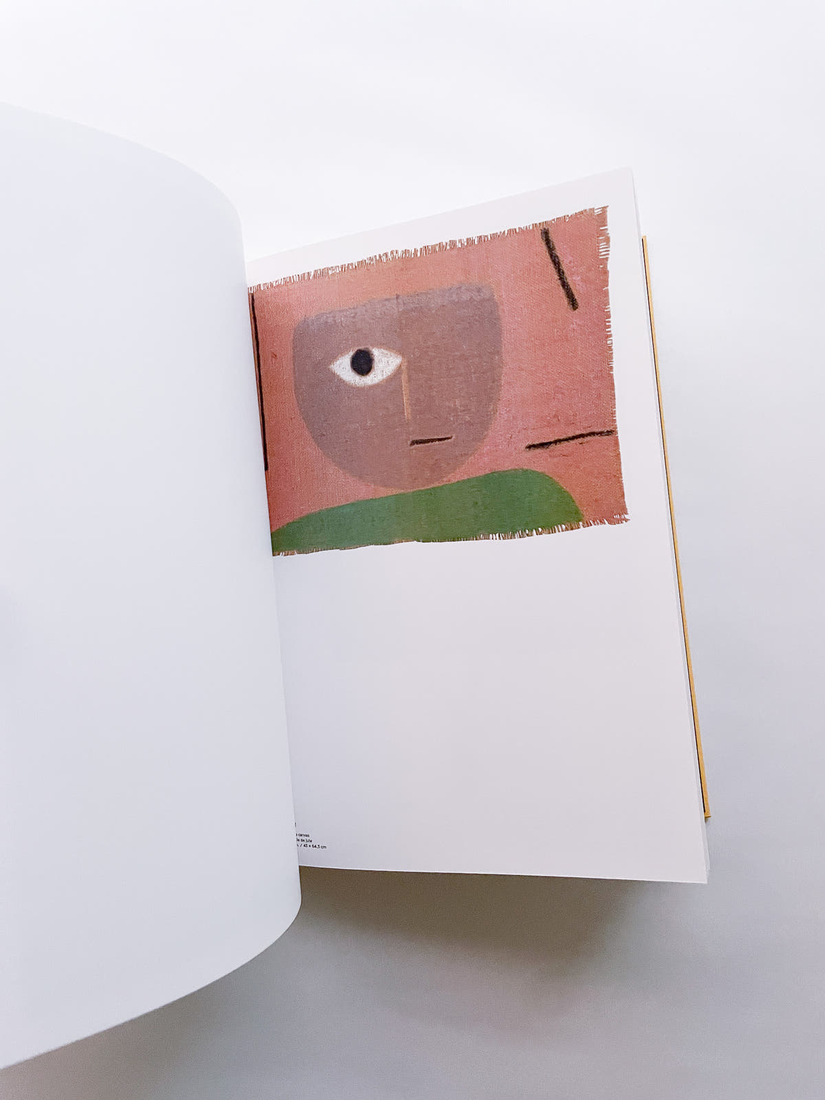 CLIN D'ŒIL / Cécile Poimbœuf-Koizumi & Stephen Ellcock