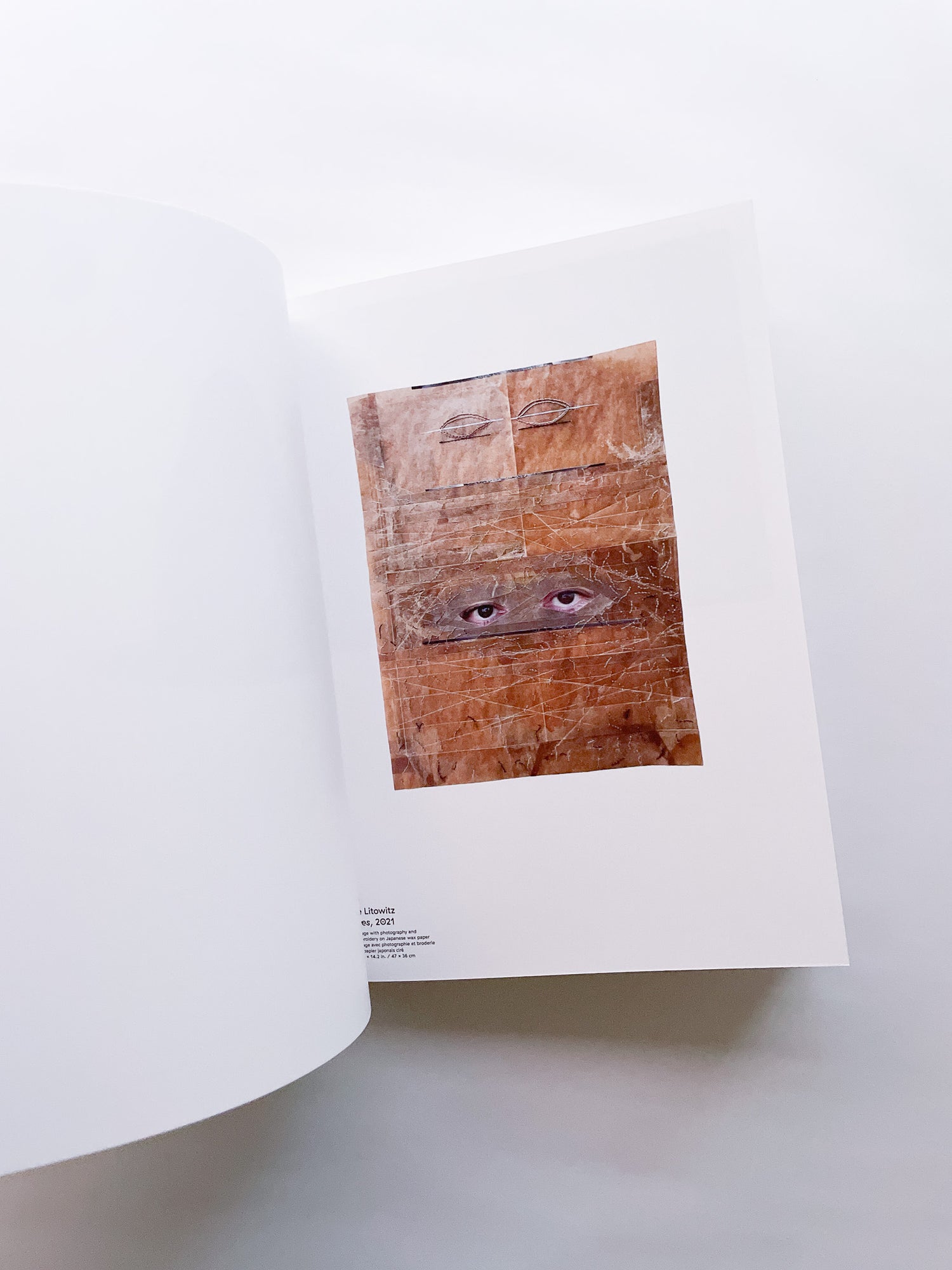 CLIN D'ŒIL / Cécile Poimbœuf-Koizumi & Stephen Ellcock