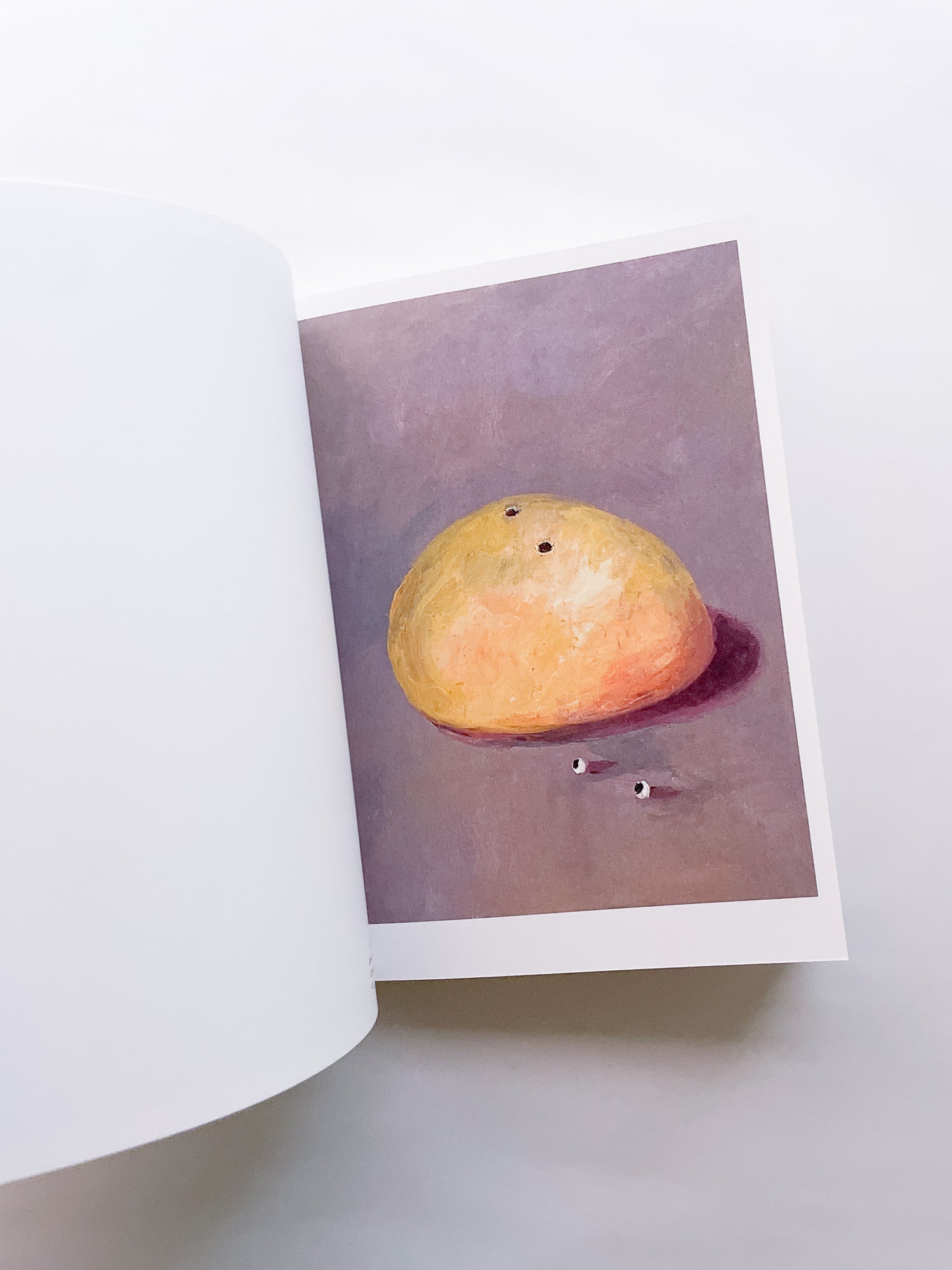 CLIN D'ŒIL / Cécile Poimbœuf-Koizumi & Stephen Ellcock