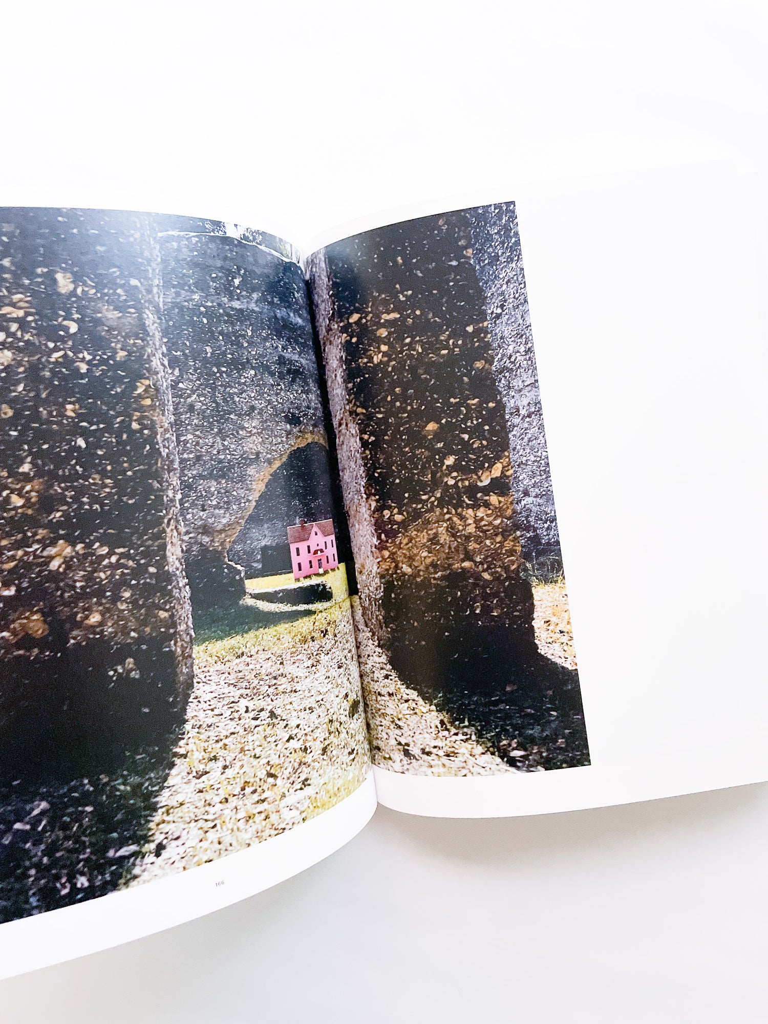 Wish This Was Real / Tyler Mitchell