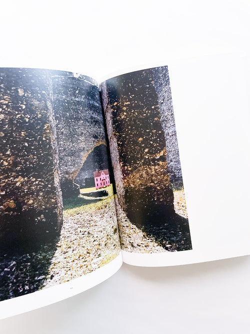 Wish This Was Real / Tyler Mitchell