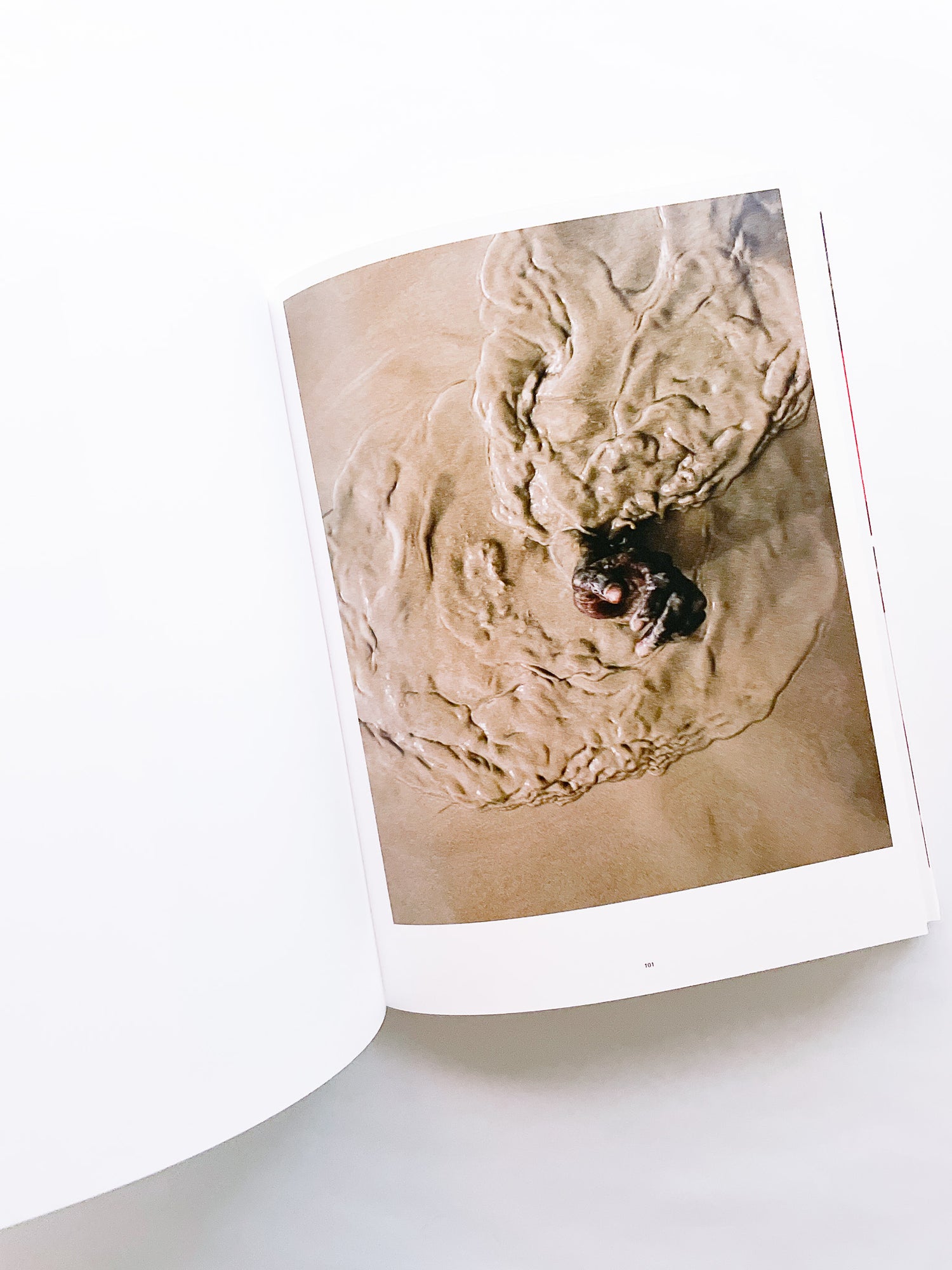 Wish This Was Real / Tyler Mitchell