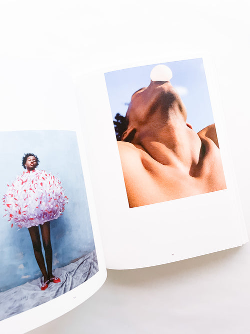 Wish This Was Real / Tyler Mitchell