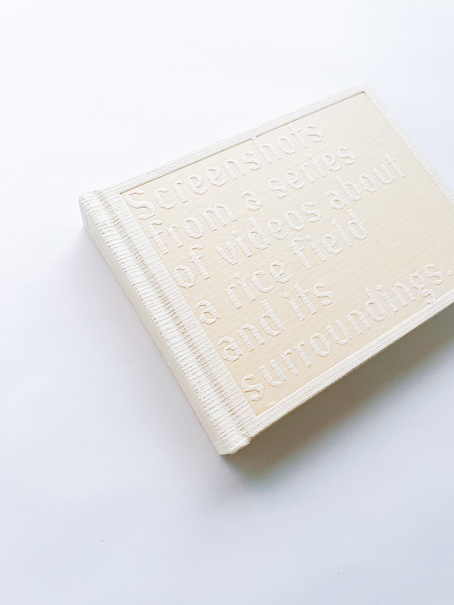 SCREENSHOTS FROM A SERIES OF VIDEOS ABOUT A RICE FIELD AND ITS SURROUNDINGS / Cintia Tortosa Santisteban [SIGNED]