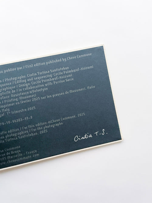 SCREENSHOTS FROM A SERIES OF VIDEOS ABOUT A RICE FIELD AND ITS SURROUNDINGS / Cintia Tortosa Santisteban [SIGNED]