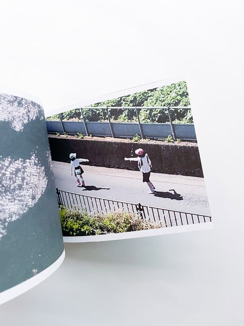 SCREENSHOTS FROM A SERIES OF VIDEOS ABOUT A RICE FIELD AND ITS SURROUNDINGS / Cintia Tortosa Santisteban [SIGNED]