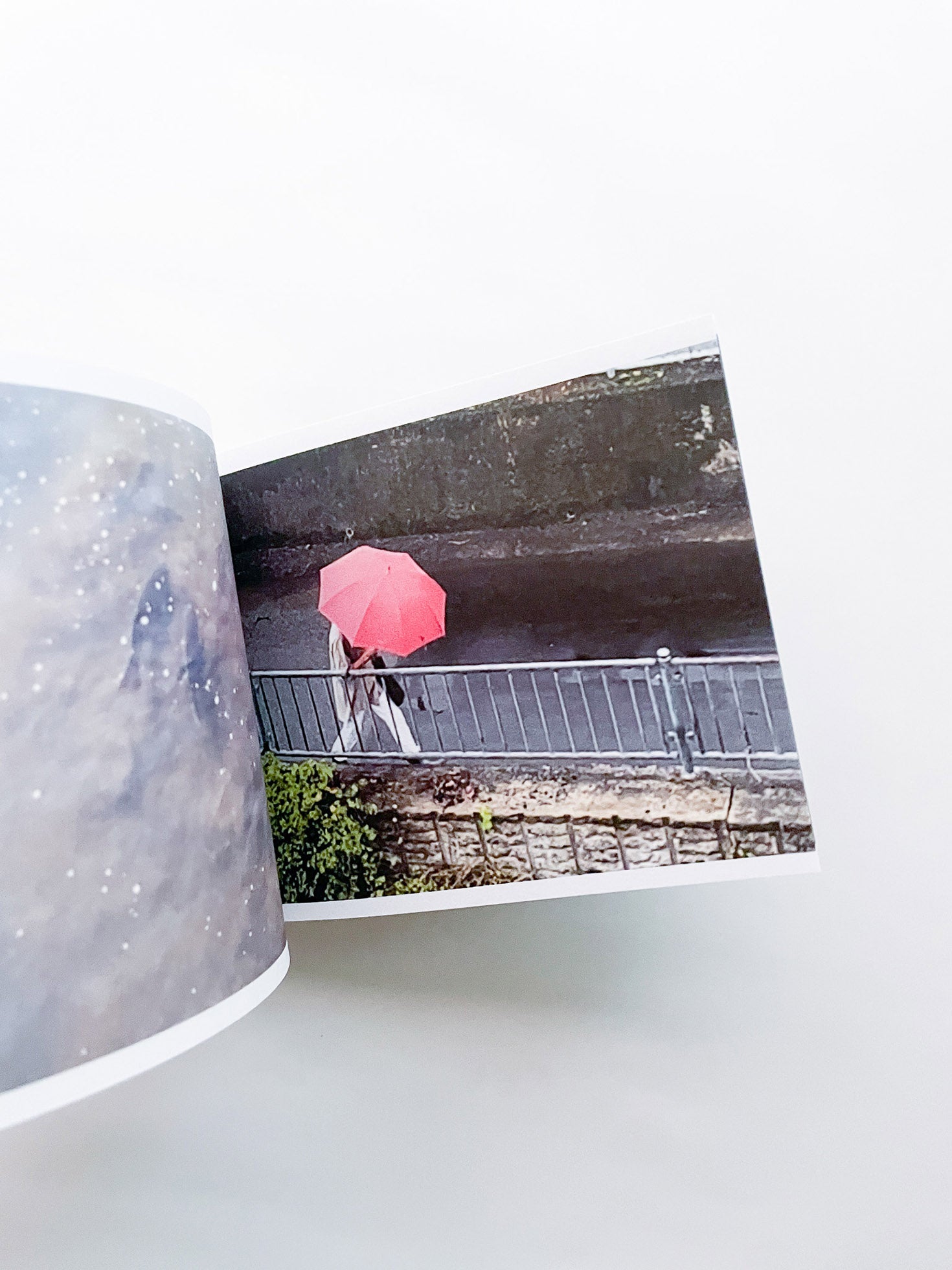 SCREENSHOTS FROM A SERIES OF VIDEOS ABOUT A RICE FIELD AND ITS SURROUNDINGS / Cintia Tortosa Santisteban [SIGNED]