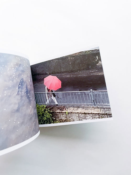 SCREENSHOTS FROM A SERIES OF VIDEOS ABOUT A RICE FIELD AND ITS SURROUNDINGS / Cintia Tortosa Santisteban [SIGNED]