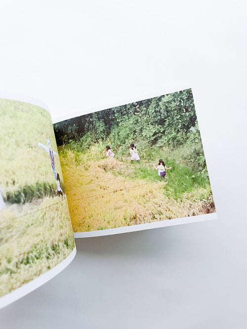 SCREENSHOTS FROM A SERIES OF VIDEOS ABOUT A RICE FIELD AND ITS SURROUNDINGS / Cintia Tortosa Santisteban [SIGNED]
