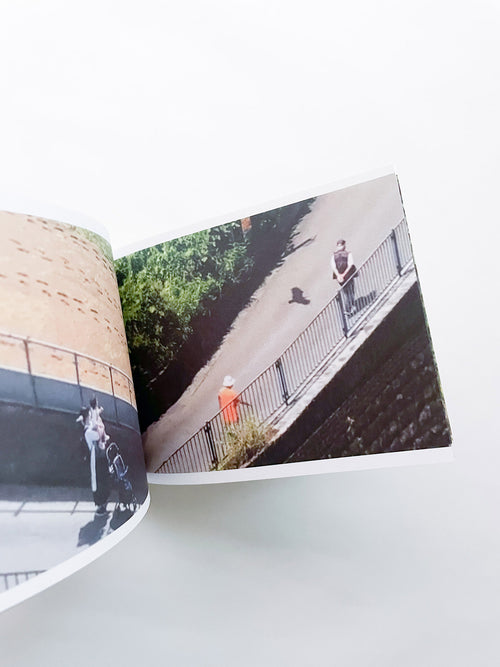 SCREENSHOTS FROM A SERIES OF VIDEOS ABOUT A RICE FIELD AND ITS SURROUNDINGS / Cintia Tortosa Santisteban [SIGNED]