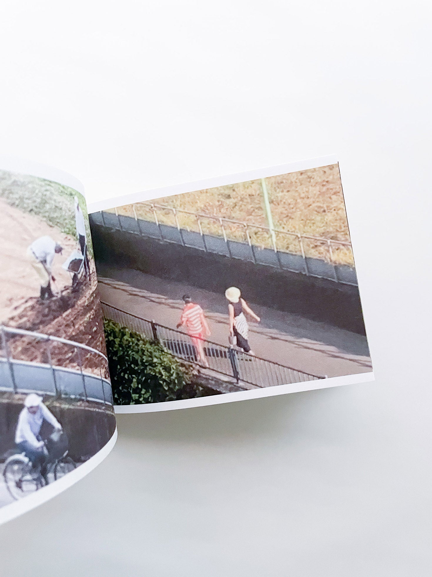 SCREENSHOTS FROM A SERIES OF VIDEOS ABOUT A RICE FIELD AND ITS SURROUNDINGS / Cintia Tortosa Santisteban [SIGNED]