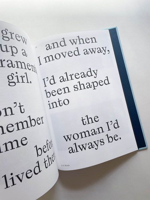 LADY BIRD SCREENPLAY BOOK / Greta Gerwig