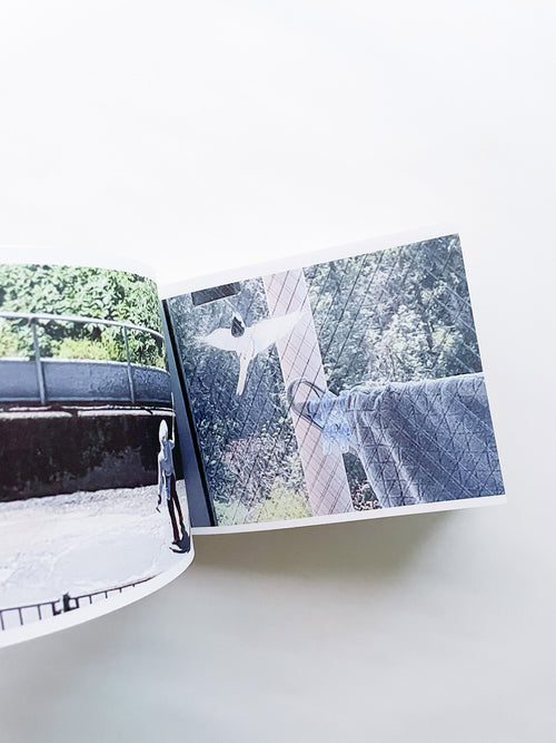 SCREENSHOTS FROM A SERIES OF VIDEOS ABOUT A RICE FIELD AND ITS SURROUNDINGS / Cintia Tortosa Santisteban [SIGNED]