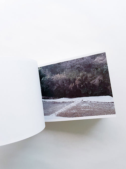 SCREENSHOTS FROM A SERIES OF VIDEOS ABOUT A RICE FIELD AND ITS SURROUNDINGS / Cintia Tortosa Santisteban [SIGNED]