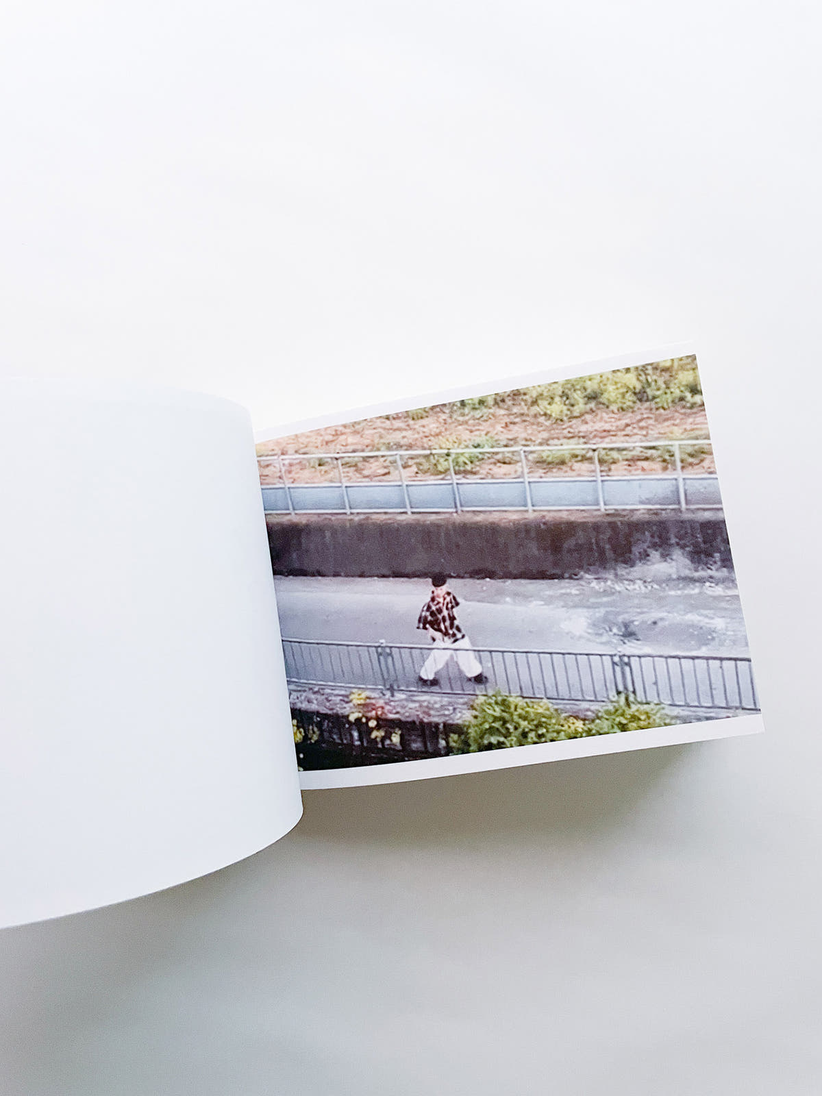 SCREENSHOTS FROM A SERIES OF VIDEOS ABOUT A RICE FIELD AND ITS SURROUNDINGS / Cintia Tortosa Santisteban [SIGNED]